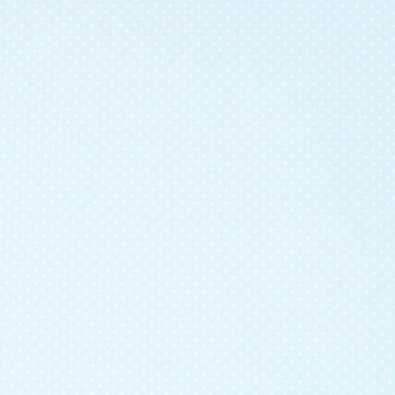 Popeline Pois Aiguille Vert d&#39;Eau - Ribes y Casals