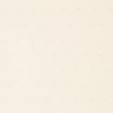 Popeline Coton Plumeti Écru - Ribes y Casals