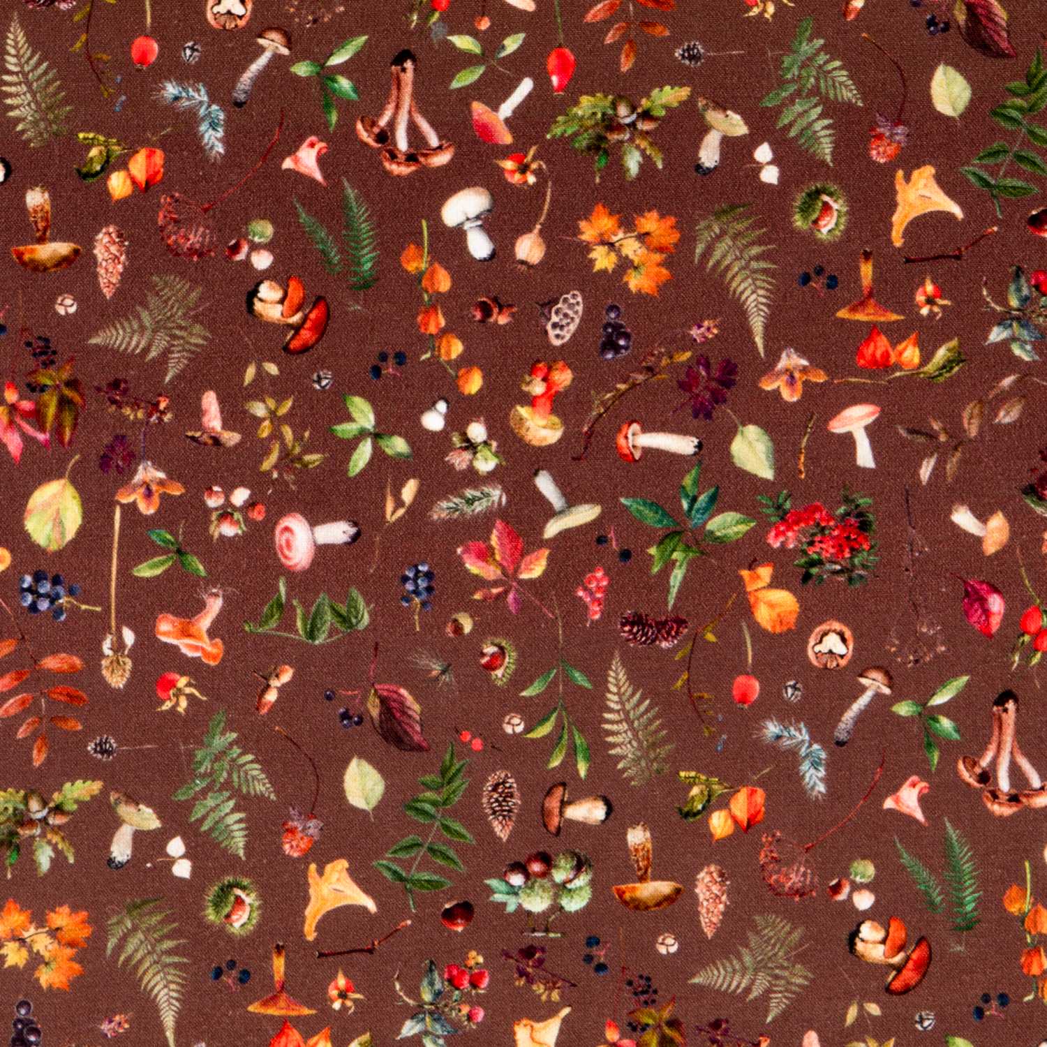 Popeline Coton Champignon Brun - Ribes y Casals