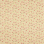 Popeline de coton beige Roxana - Ribes y Casals