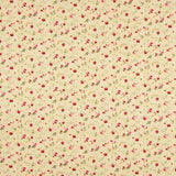 Popeline de coton beige Roxana - Ribes y Casals