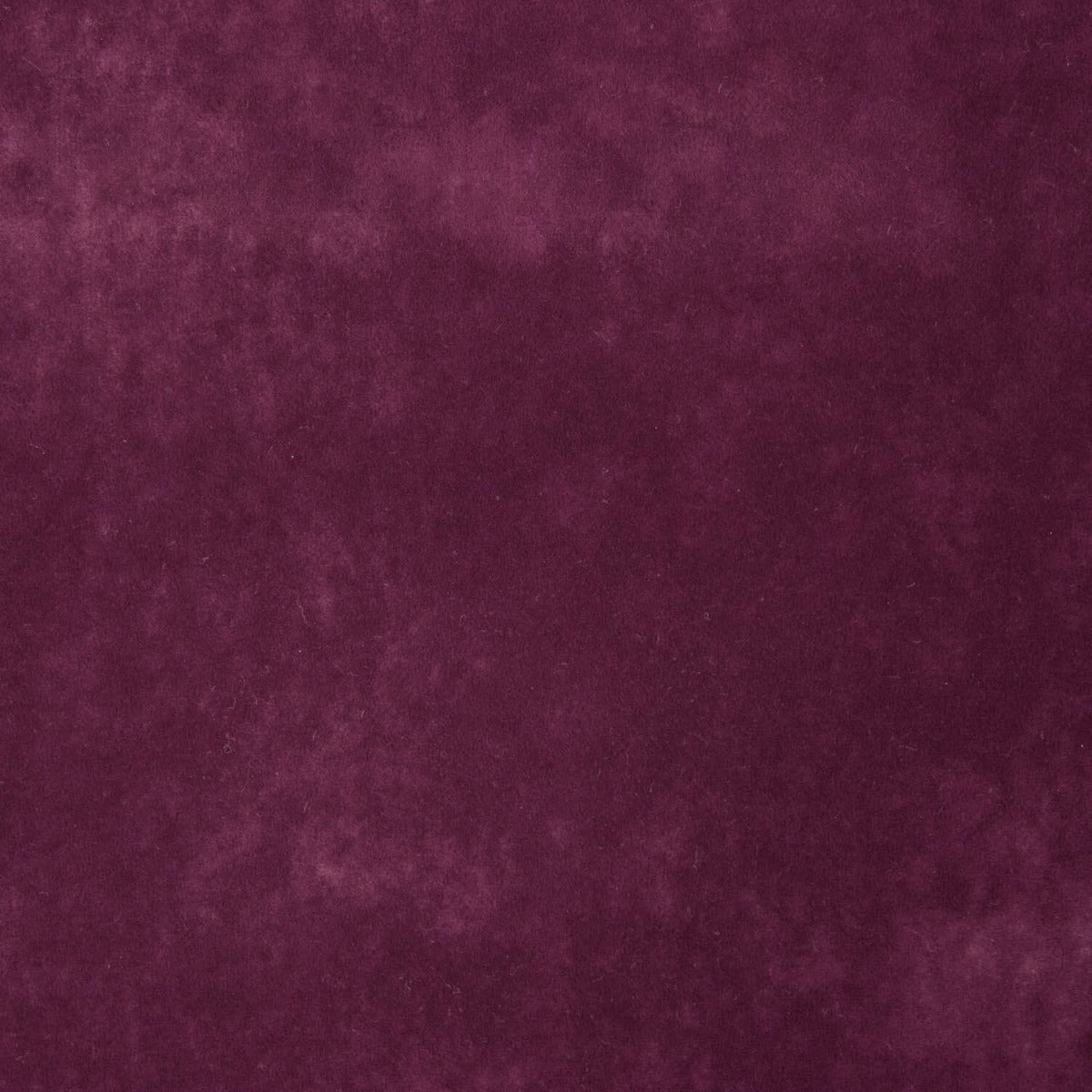 Toile Tapisserie Anti-griffes Gris Perle - Ribes y Casals