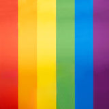 Fierté Satin Spandex - Ribes y Casals