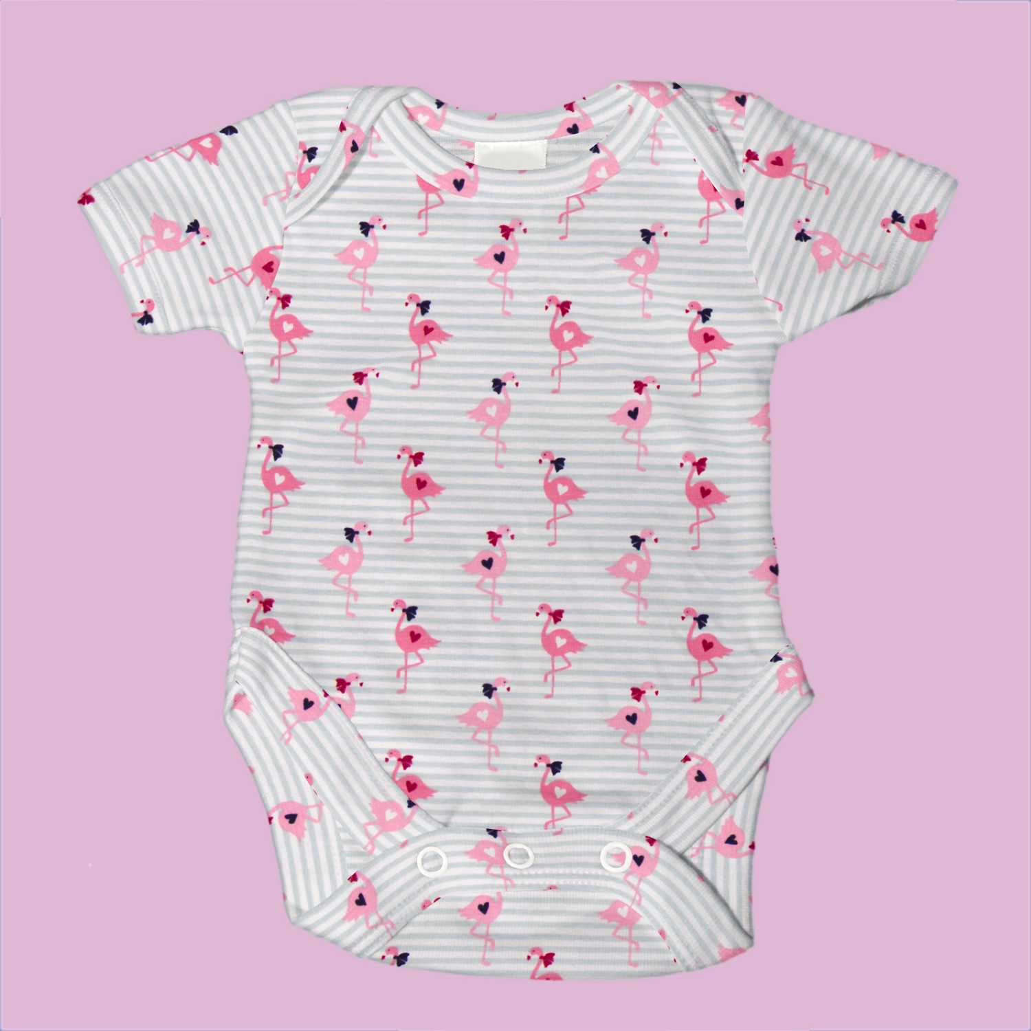 Tricot Coton Flamants Bleu - Ribes y Casals