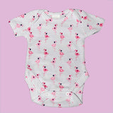 Tricot Coton Flamants Bleu - Ribes y Casals