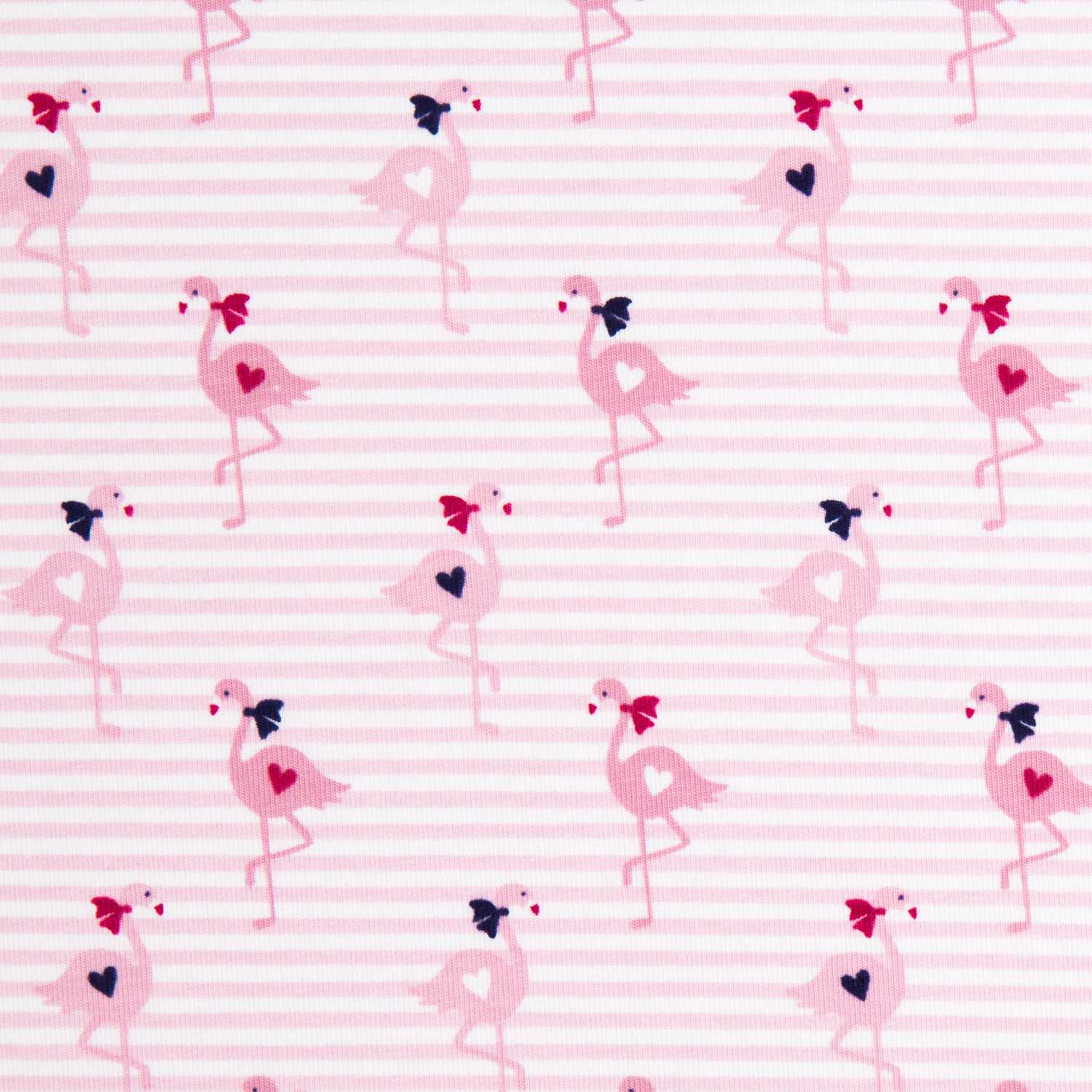 Tricot Coton Flamants Rose - Ribes y Casals