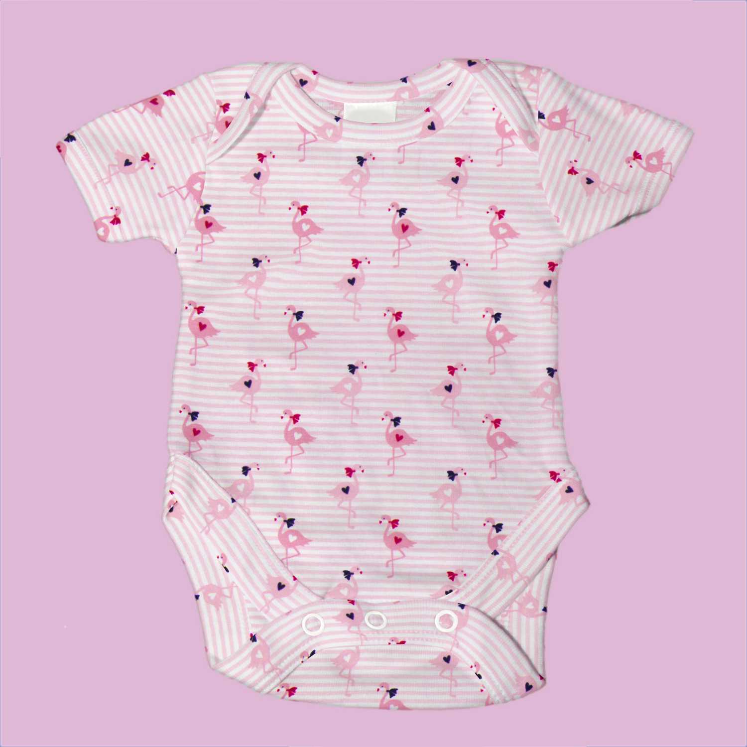 Tricot Coton Flamants Rose - Ribes y Casals