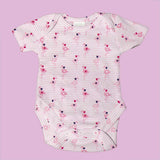 Tricot Coton Flamants Rose - Ribes y Casals