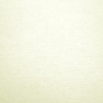 Tricot Uni Coton Organique Ecru - Ribes y Casals