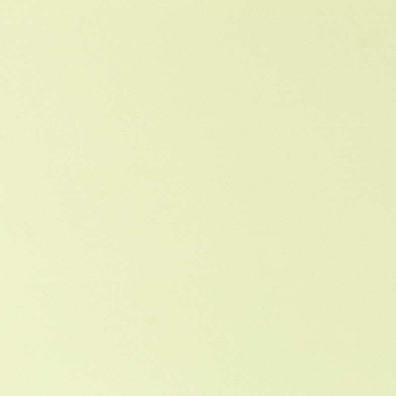 Tricot Lycra Polyester Pistache - Ribes y Casals