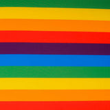 Tissu Polyester Vertical Multicolore Gay Pride - Ribes y Casals