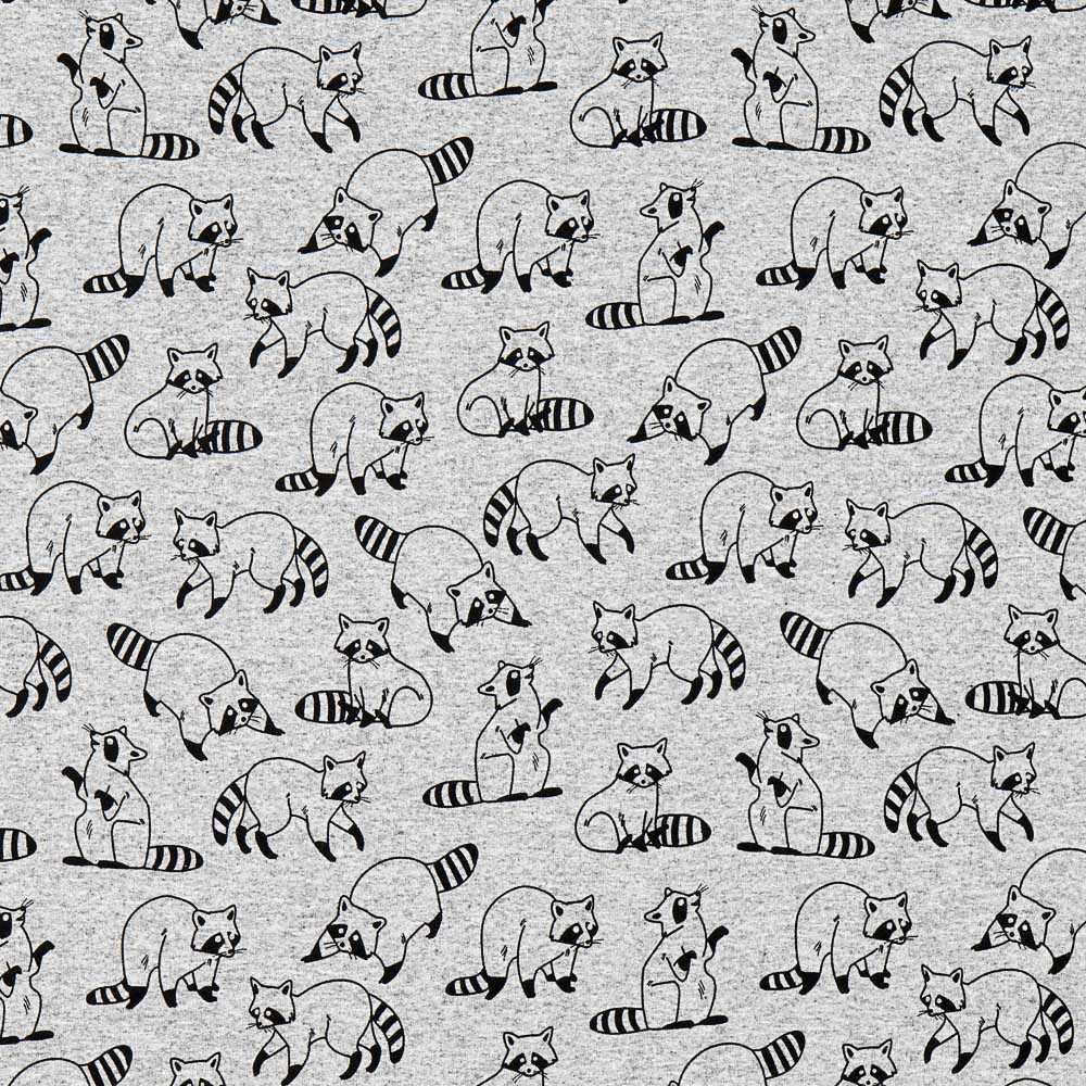 Sweat Raccoon Raton Laveur - Ribes y Casals