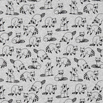 Sweat Raccoon Raton Laveur - Ribes y Casals
