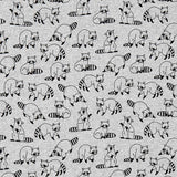 Sweat Raccoon Raton Laveur - Ribes y Casals