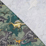 Maille Coton Dinosaures Vert - Ribes y Casals