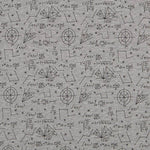 Jersey Coton T-Shirt Astronautes - Ribes y Casals