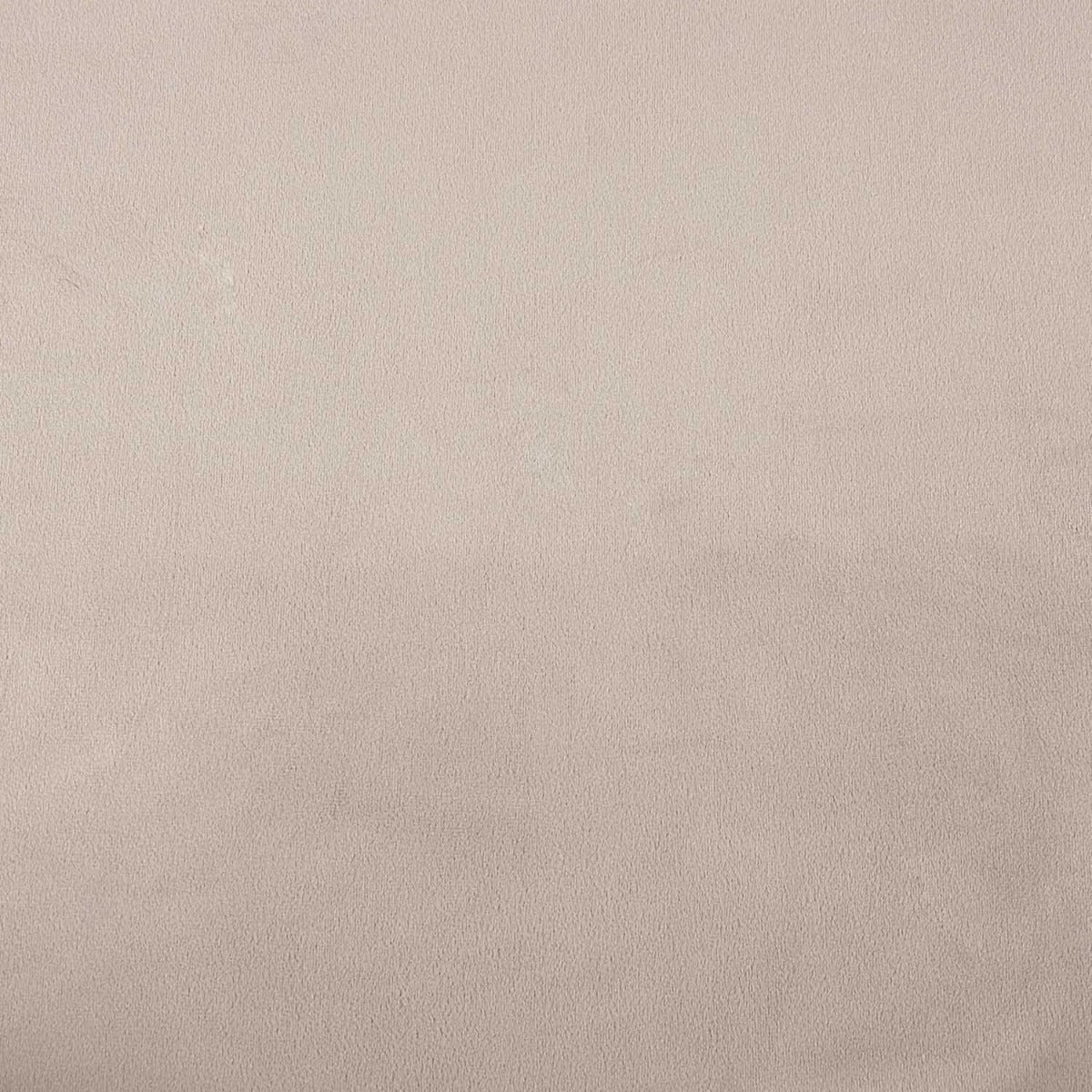 Jersey de velours stretch gris clair - Ribes y Casals