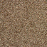 Tricot Lamé Brillant Doré - Ribes y Casals