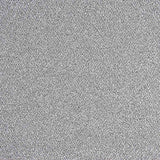 Tricot Lamé Brillant Argenté - Ribes y Casals