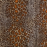 Tricot Viscose Animal Print Marron - Ribes y Casals