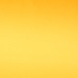 Satin Mode Jaune - Ribes y Casals