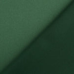 Satin Spandex Vert Mousse - Ribes y Casals