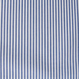 Rayures Vichy Bleu Soutenu 3mm - Ribes y Casals