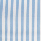 Rayures Vichy Bleu Ciel 6mm - Ribes y Casals
