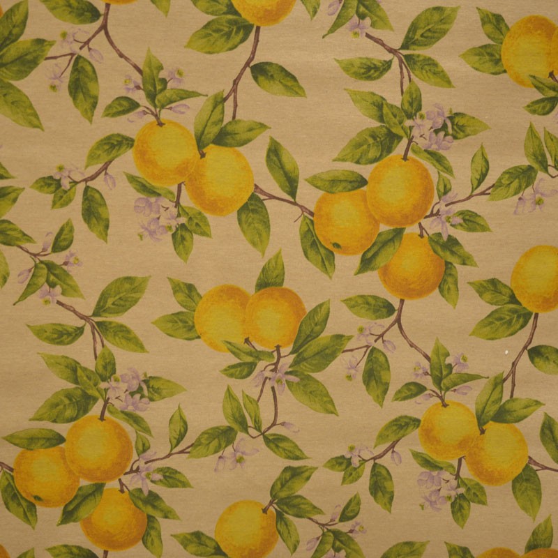 Tissu Enduit Citrons - Ribes y Casals