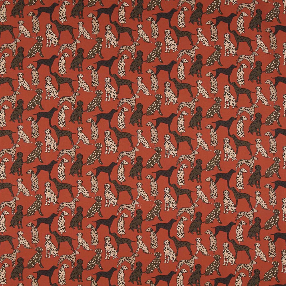 Sergé Cotton Chiens Écru - Ribes y Casals