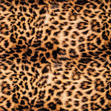 Sarga Algodón - Ribes y Casals