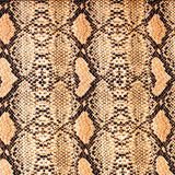 Sarga Algodón - Ribes y Casals