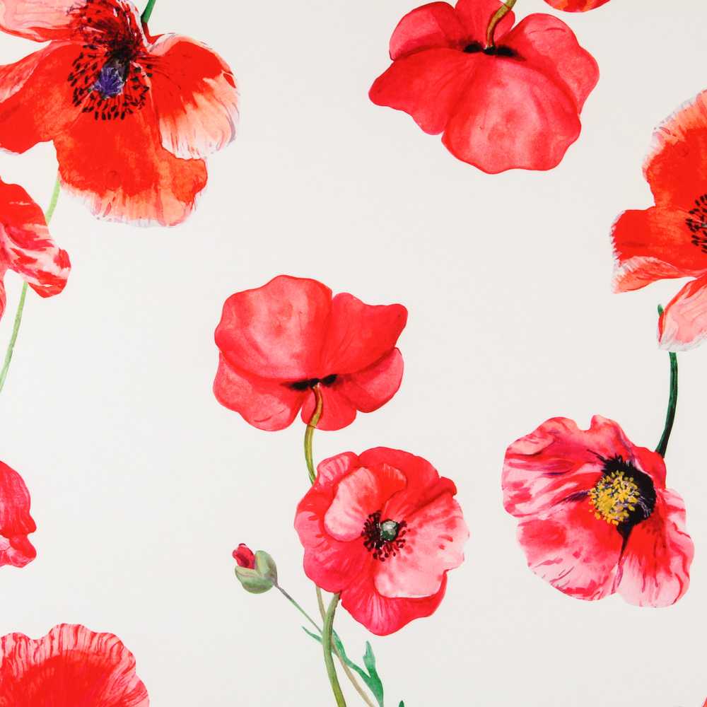Sergé Bi-élastique Coquelicot Blanc - Ribes y Casals