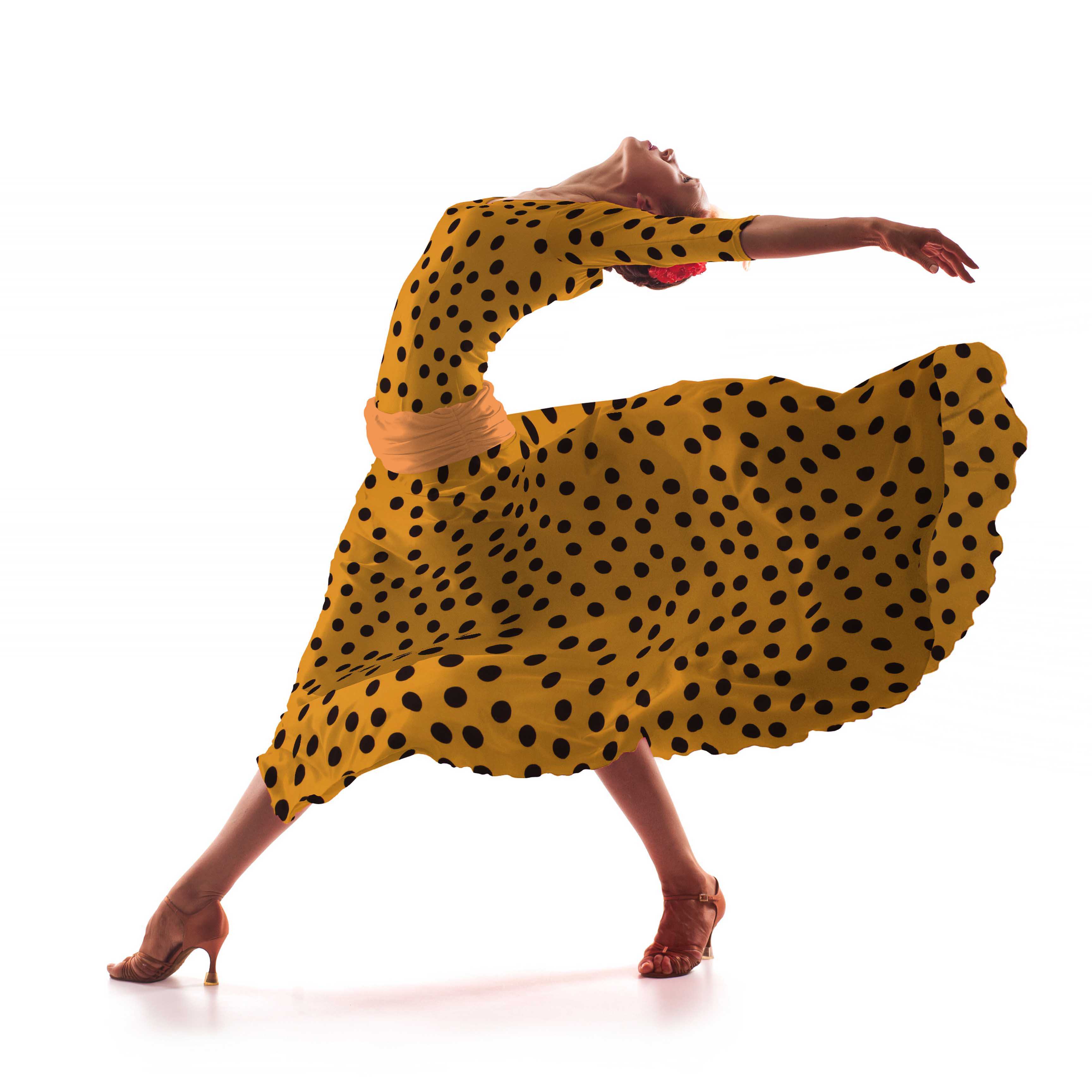 Sergé Bi-élastique Pois Doré - Ribes y Casals