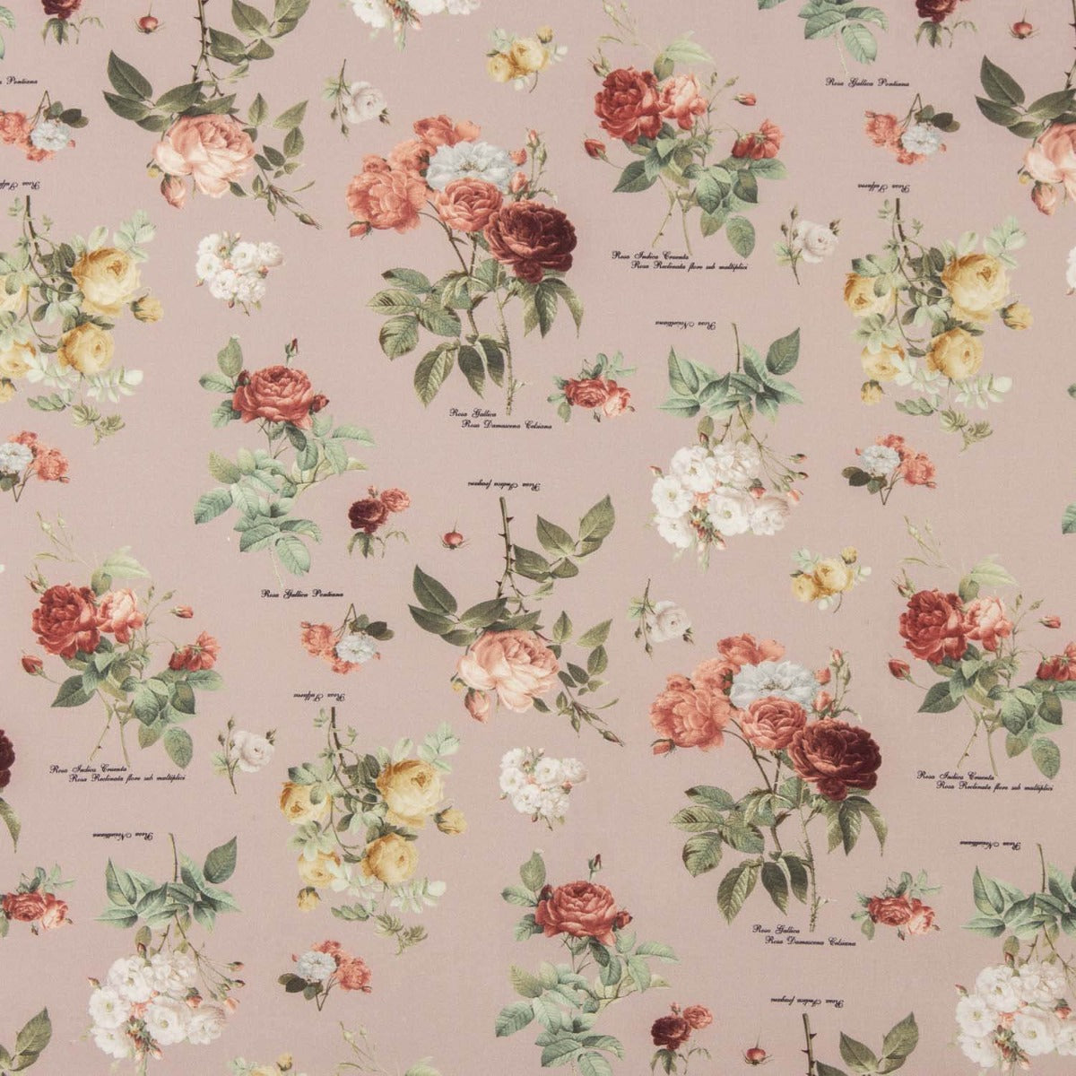 Sergé fin rose vintage - Ribes y Casals