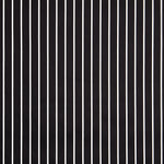 Satin Coton Stretch Rayé Noir - Ribes y Casals