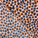 Satin Fashion Print - Ribes y Casals