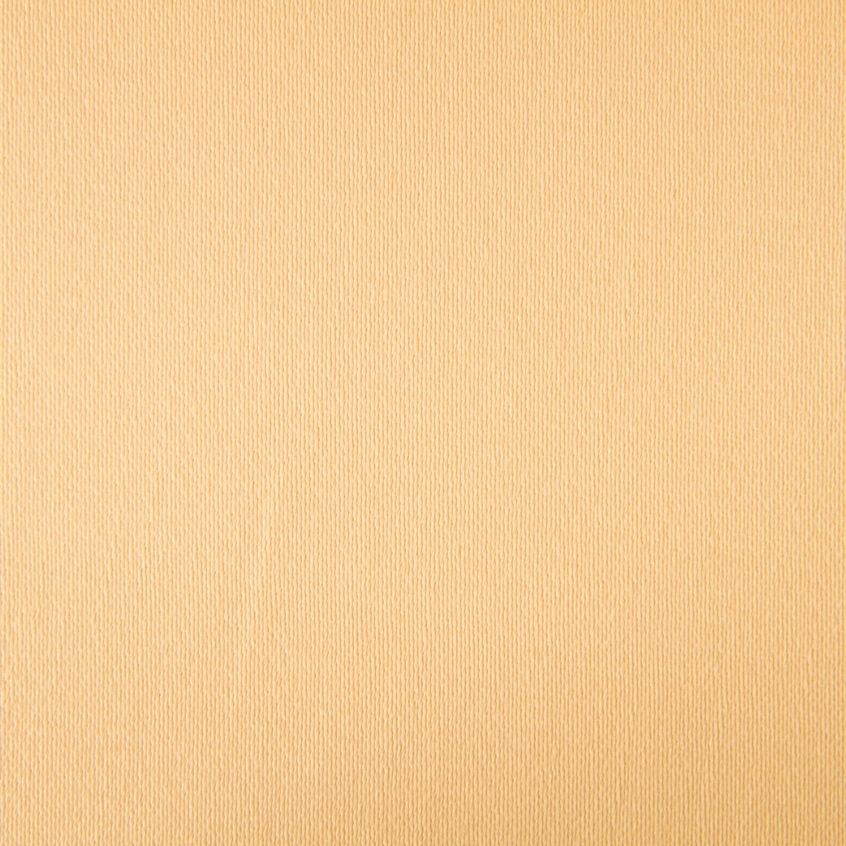 Satin Coton Écru - Ribes y Casals