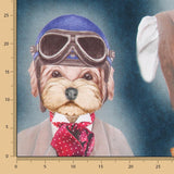 Satin Coton Gentleman Blue - Ribes y Casals
