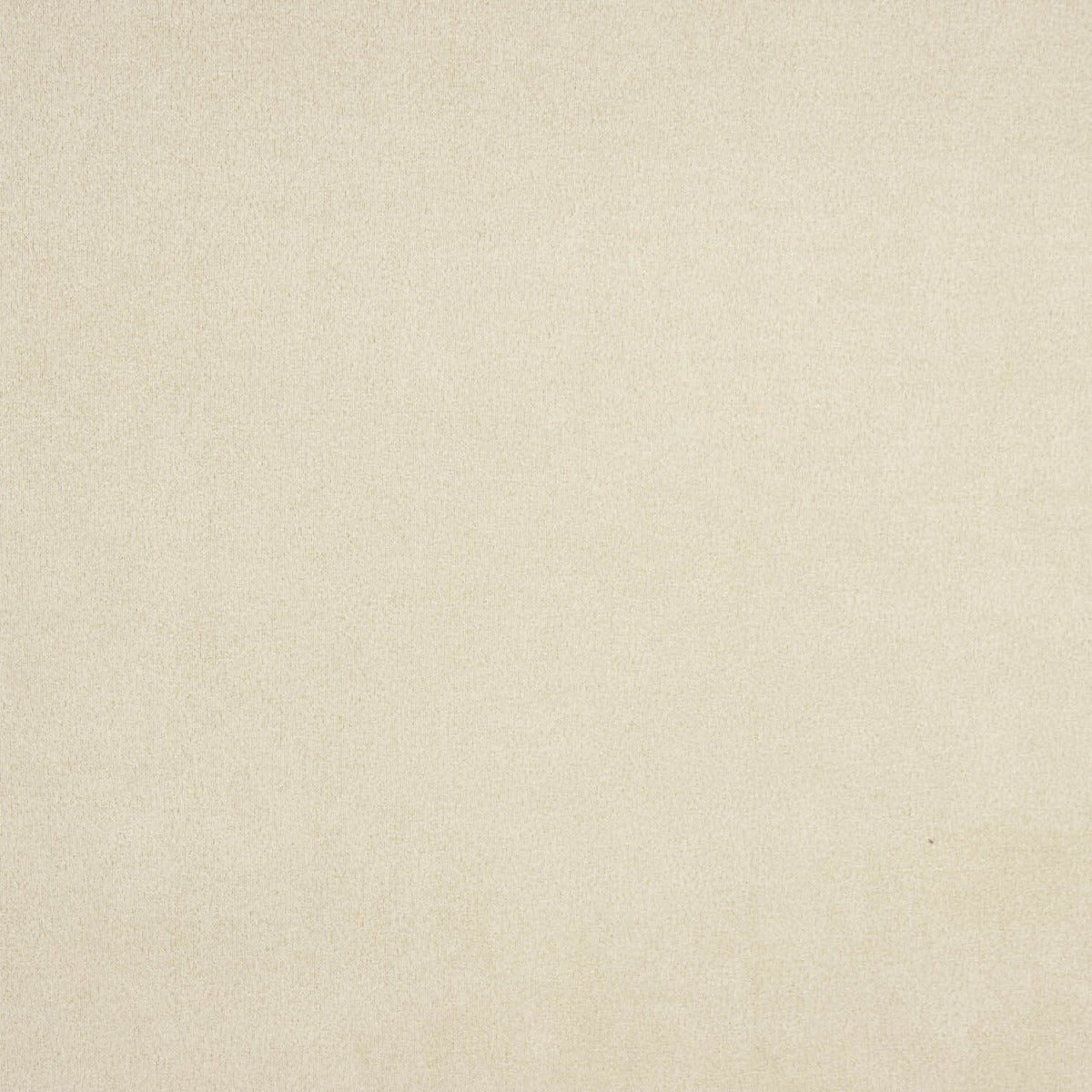 Scuba Suédine Camel - Ribes y Casals