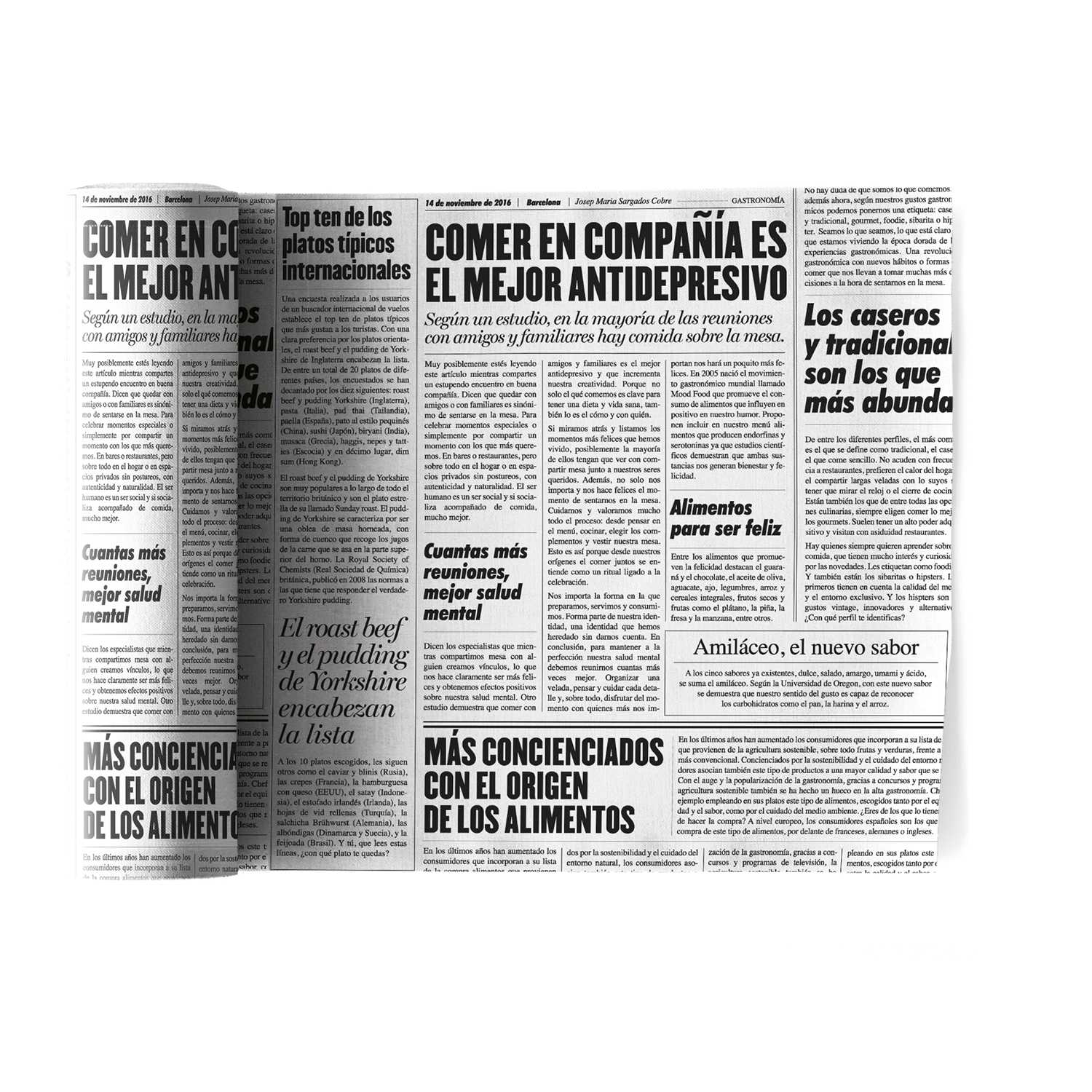 Serviette Journal 20x20cm 12uds - Ribes y Casals