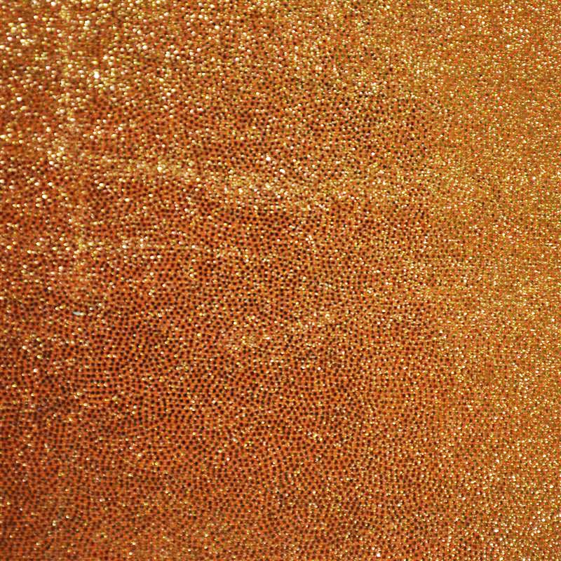 Shine Spandex Naranja - Ribes y Casals