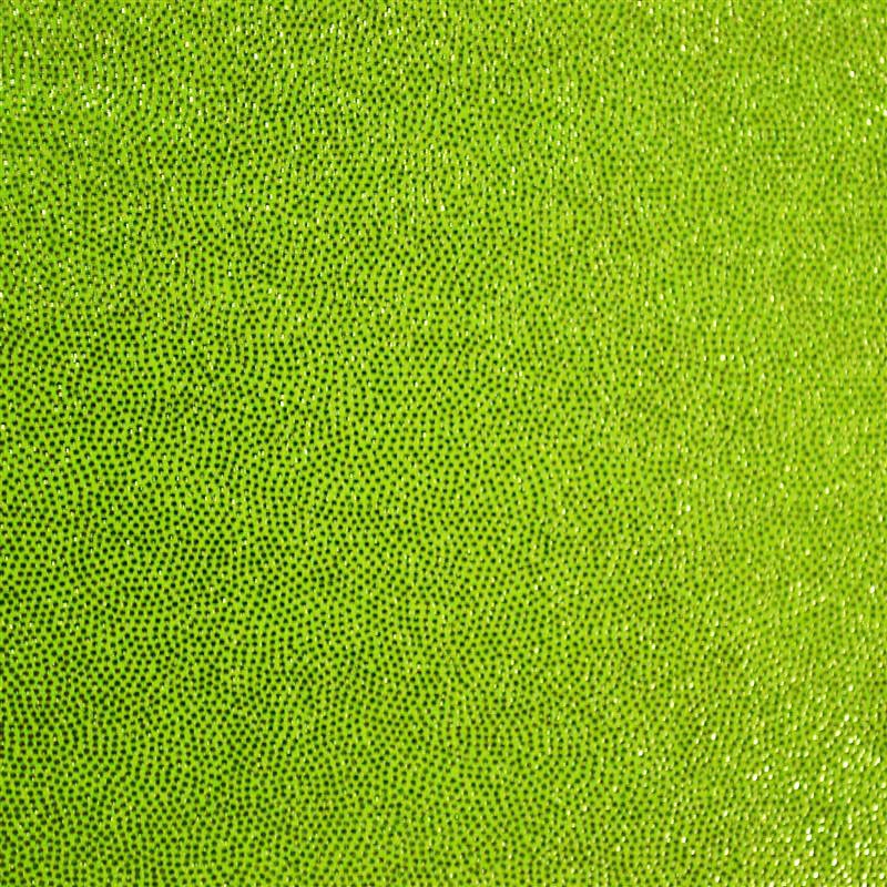 Shine Spandex Pistacho - Ribes y Casals