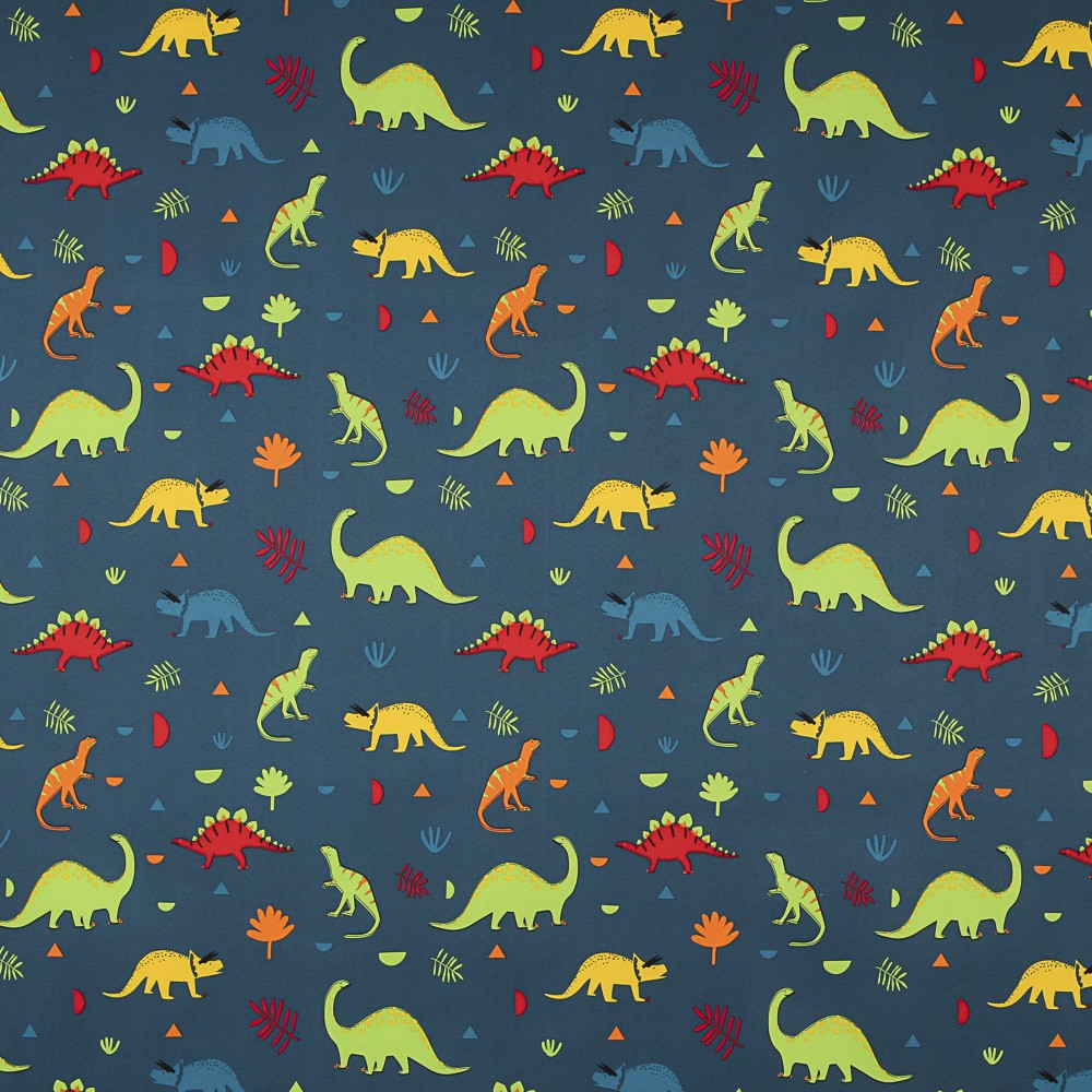 Softshell Dinosaures - Ribes y Casals