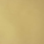 Tissu de taffetas uni beige - Ribes y Casals