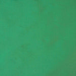 Tissu de taffetas uni vert - Ribes y Casals