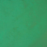 Tissu de taffetas uni vert - Ribes y Casals