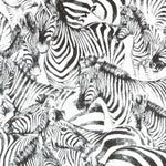 Toile Tissée Afrique - Ribes y Casals