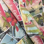 Tissu Maillot de Bain Aloha Noir - Ribes y Casals