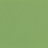 Tissu Sergé Élastique Vert Clair - Ribes y Casals